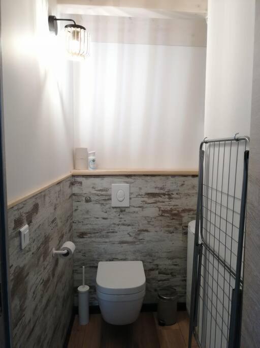 Studio Aux Granges Du Vilaret Apartment Clairvaux-les-Lacs Luaran gambar