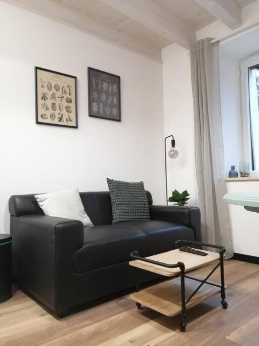 Studio Aux Granges Du Vilaret Apartment Clairvaux-les-Lacs Luaran gambar