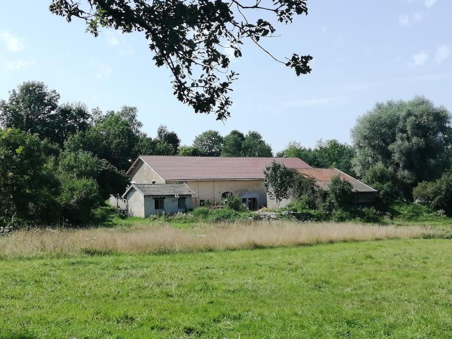 Studio Aux Granges Du Vilaret Apartment Clairvaux-les-Lacs Luaran gambar